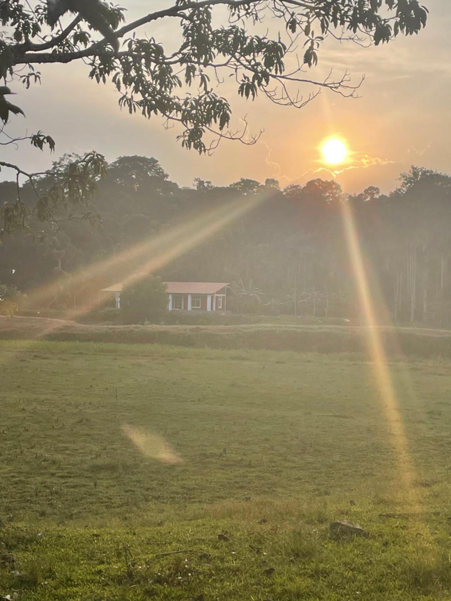 Lake Ripples - Farmstay & Camping Ponnampet Exterior foto