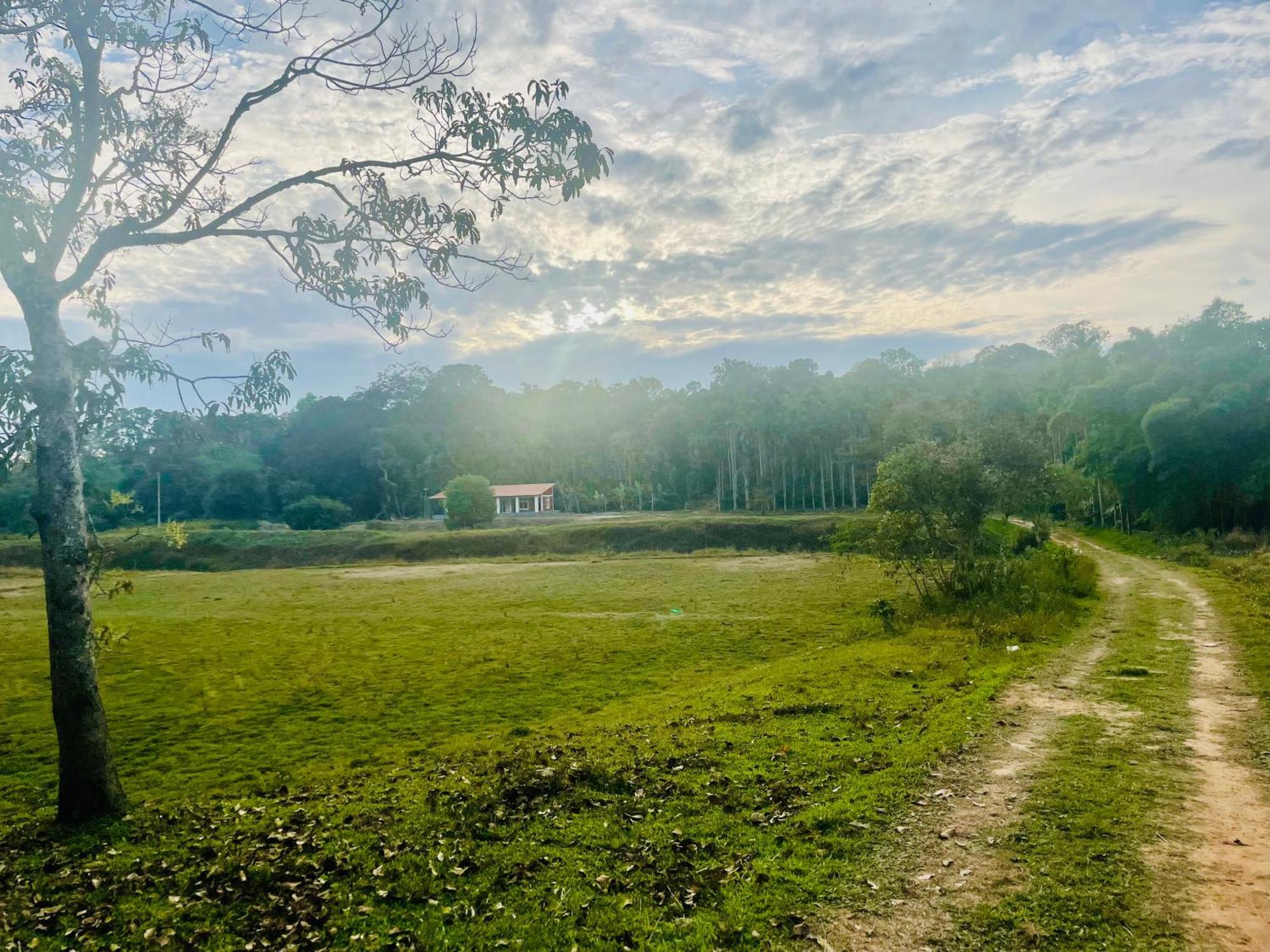Lake Ripples - Farmstay & Camping Ponnampet Exterior foto